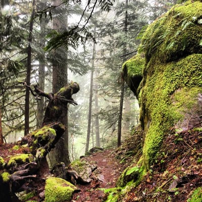 NESMITH POINT TRAIL Exit 35 Columbia River National Scenic Area