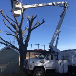 Father & Son Tree Service - Reduction trimming after.
