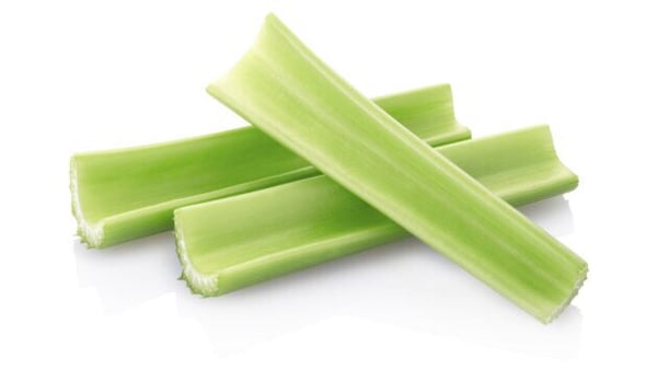 The Basement Orlando by null