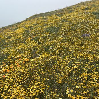 Mori Point - Hiking Near Me - Pacifica, California