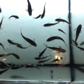 AquaBliss Fish Spa - Day Spas Near Me - Barcelona, B AquaBliss Fish Spa - Day Spas Near Me - Barcelona, B