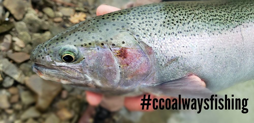 Social spots from Canadaway Creek Outfitters