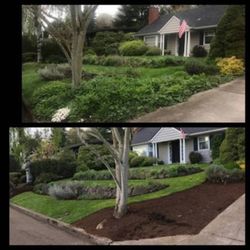Greenstars Lawn Care