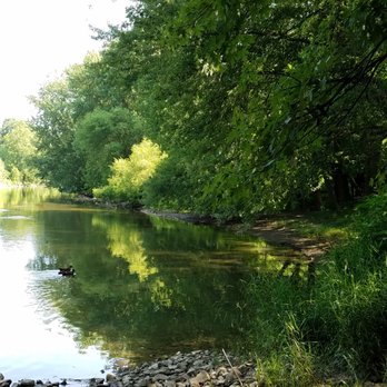 River Bend Park - same ducks, but another angle - Parks Near Me - Anderson, Indiana