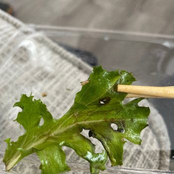 One Poke - Old lettuce :( - Hawaiian Near Me - El Segundo, California