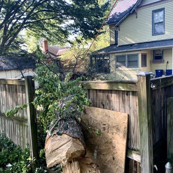 Romeo's Tree Service - Tree Services Near Me - Glenn Dale, Maryland Romeo's Tree Service - Tree Services Near Me - Glenn Dale, Maryland