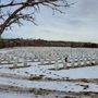 Photo of Fort Logan National Cemetery