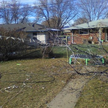 Wisdom Tree Care - when wisdom tree care damages your property, their violent tempers explode if you confront them about it - Tree Services Near Me - Fort Collins, Colorado Wisdom Tree Care - when wisdom tree care damages your property, their violent tempers explode if you confront them about it - Tree Services Near Me - Fort Collins, Colorado