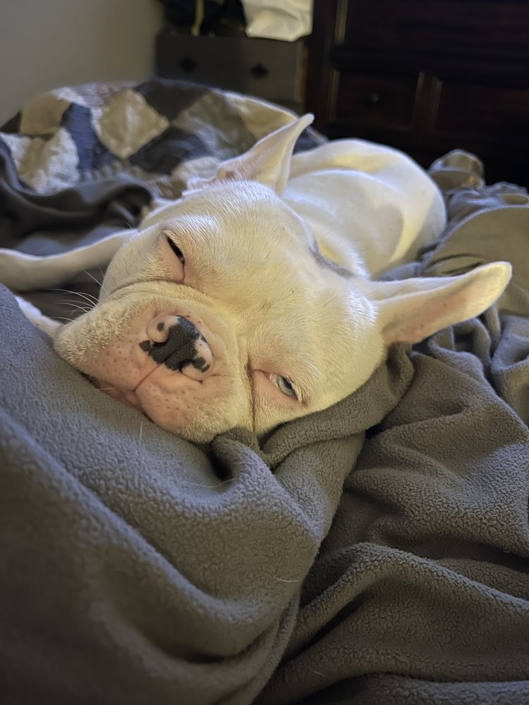 Slide of Roys Plumbing & Heating