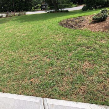 Atlanta Sod Company - No matter how much watering the yard looks terrible and we are the first house you see when you enter the neighborhood - Landscaping Near Me - Conyers, Georgia Atlanta Sod Company - No matter how much watering the yard looks terrible and we are the first house you see when you enter the neighborhood - Landscaping Near Me - Conyers, Georgia