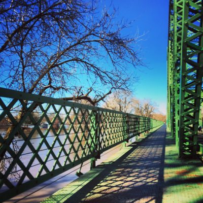 Tiscornia Park by null