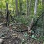 Photo of Top Notch Tree Service
