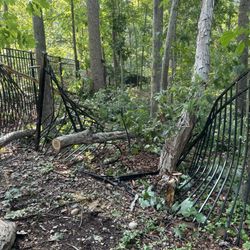 Top Notch Tree Service
