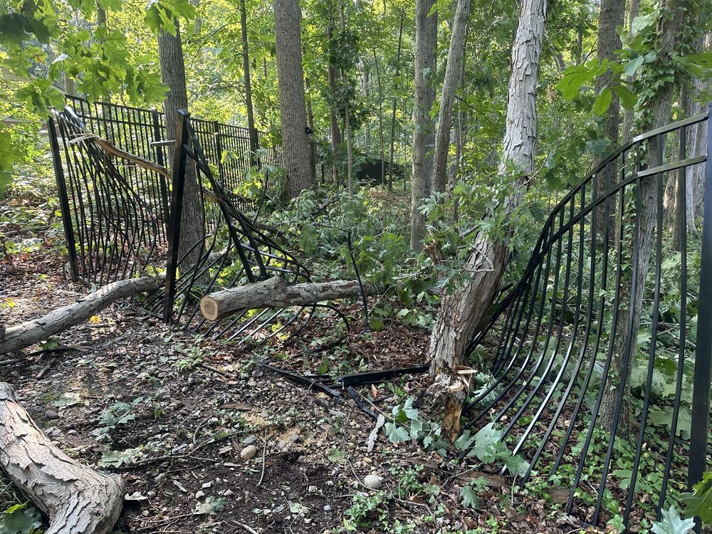 TOP NOTCH TREE SERVICE - Updated June 2026 - 66 Photos & 48 Reviews ...