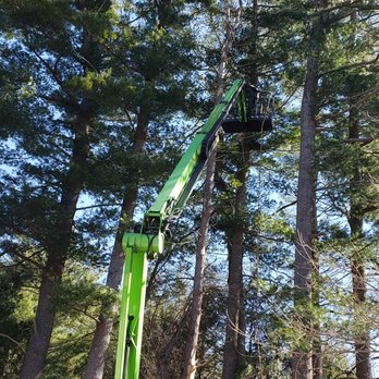 A-1 Tree Service - Tree Services Near Me