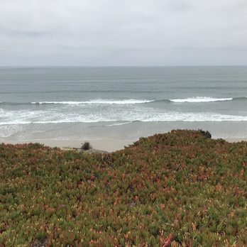 Seagrove Park - Peaceful! - Parks Near Me - Del Mar, California