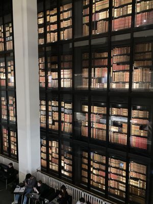 The British Library by null