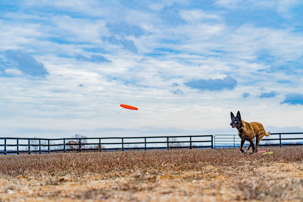 KENNELWOOD ACADEMY Updated September 2024 162 Kennelwood Way, Union