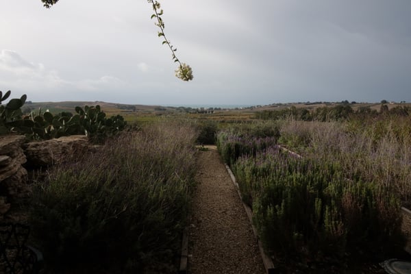 La Foresteria Planeta Estate by null