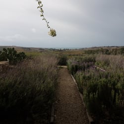 La Foresteria Planeta Estate