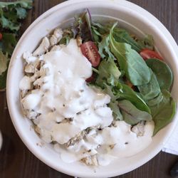 Chicken plate with white sauce