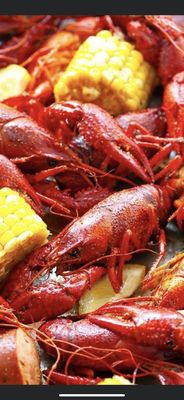 Cajun Station by null