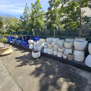Abide A While Garden Boutique - Nurseries & Gardening Near Me - Mount Pleasant, South Carolina