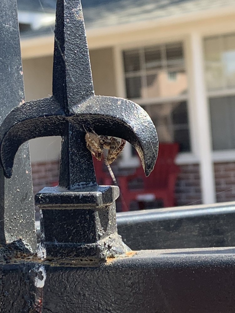 APTIVE ENVIRONMENTAL 80 Photos & 466 Reviews 7625 Hayvenhurst Ave, Van Nuys, California