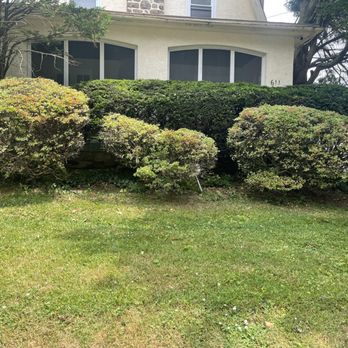 AVI & Ade lawn services - a lawn in front of a house - Lawn Services Near Me AVI & Ade lawn services - a lawn in front of a house - Lawn Services Near Me