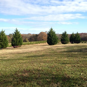7 G's Farm - Tree lot - Nurseries & Gardening Near Me - Nicholson, Georgia
