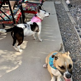 Jenny and Astro