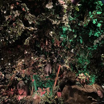 Rainforest Cafe - American Near Me - Gurnee, Illinois Rainforest Cafe - American Near Me - Gurnee, Illinois