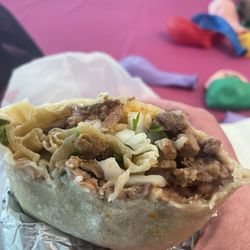 Regular carne asada burrito