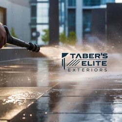 Taber's Elite Exteriors - My logo