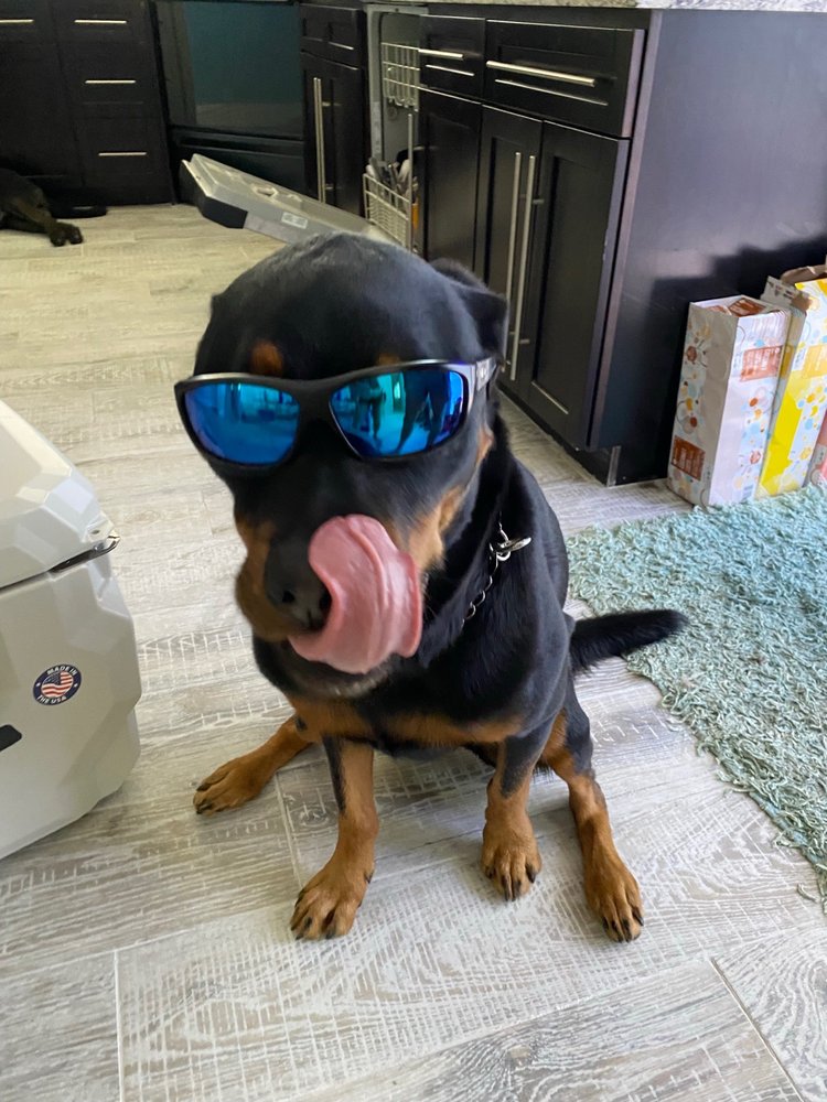 Upper Keys Veterinary Hospital Image