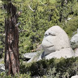 The Flume Trail - Monkey Rock