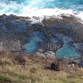 Makapu'u Point Lighthouse Trail - Tide pools at bottom of makapuu..you can go down there as well :) - Hiking Near Me - Honolulu, Hawaii Makapu'u Point Lighthouse Trail - Tide pools at bottom of makapuu..you can go down there as well :) - Hiking Near Me - Honolulu, Hawaii