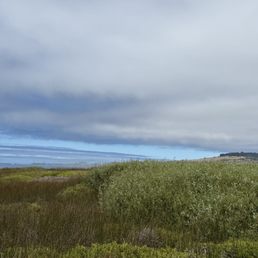 The beach view