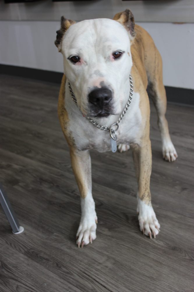 Slide of Ken's Plumbing & Heating