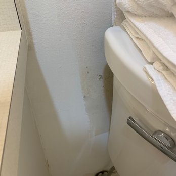 Bali Hai Beach Resort - Paint is missing and looks horrible behind toilet - Hotels Near Me - Holmes Beach, Florida Bali Hai Beach Resort - Paint is missing and looks horrible behind toilet - Hotels Near Me - Holmes Beach, Florida