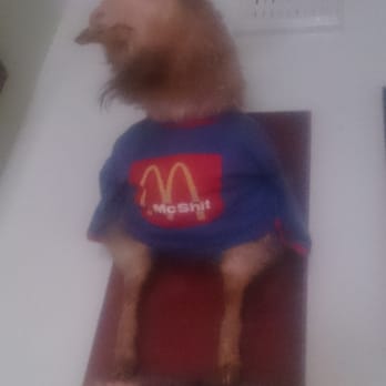 Napier Hotel - The McDonald's T-Shirt - Bars Near Me - Fitzroy, VIC