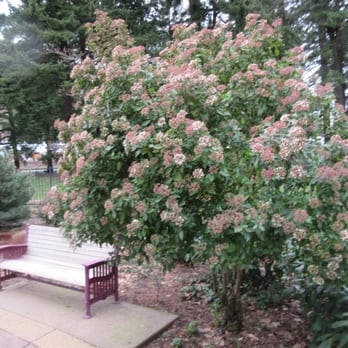 Portland Memory Garden - Parks Near Me - Portland, Oregon Portland Memory Garden - Parks Near Me - Portland, Oregon