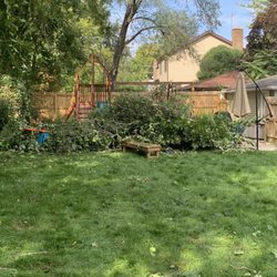 Oakleaf Treeworks - All of the branches they're chipping for $250!