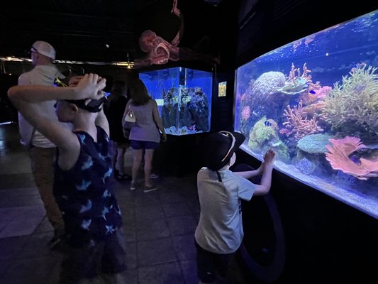 Mote Marine Laboratory & Aquarium by null