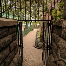 Peter Detmold Park Dog Run