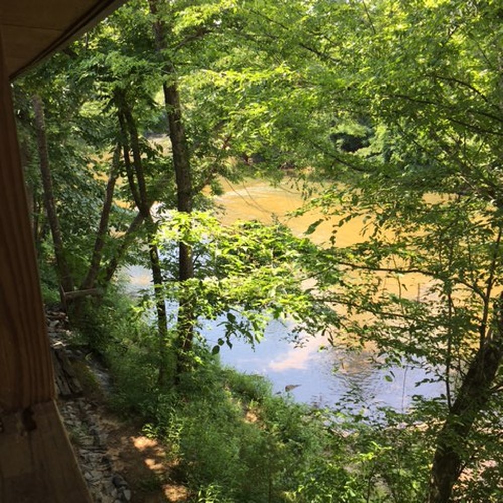 Green Heron Ale House - The sound of the river is quite relaxing. - Beer Bar Near Me - Danbury, North Carolina Green Heron Ale House - The sound of the river is quite relaxing. - Beer Bar Near Me - Danbury, North Carolina