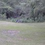 Photo of K.C. Lawn Services