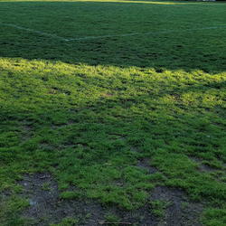 Maple Park