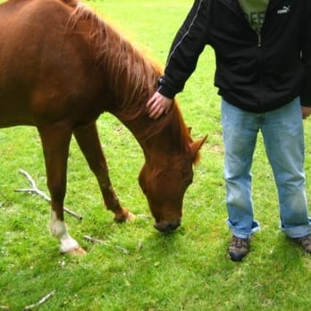 Leaping Lamb Farm - Bonding with Moraleesha - Vacation Rentals Near Me - Alsea, Oregon