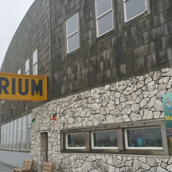 Seaside Aquarium - Aquariums Near Me - Seaside, Oregon Seaside Aquarium - Aquariums Near Me - Seaside, Oregon